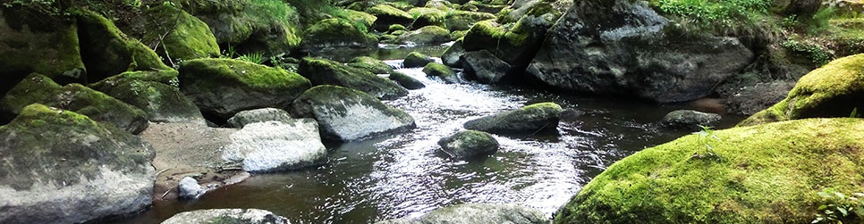 Waldnaab