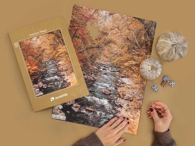 Collezioni di puzzles
