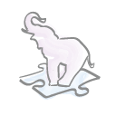 Robusti